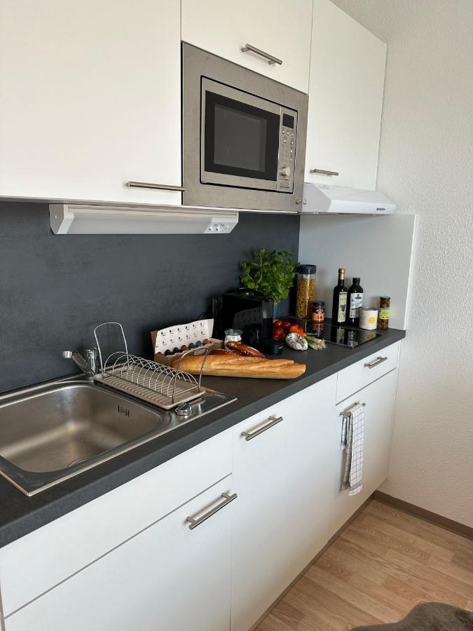 Stilvolles Und Modernes Appartement Mit Sonnigem Balkon In Flughafen- Und Messenaehe 31 ラインフェルデン＝エヒターディンゲン エクステリア 写真