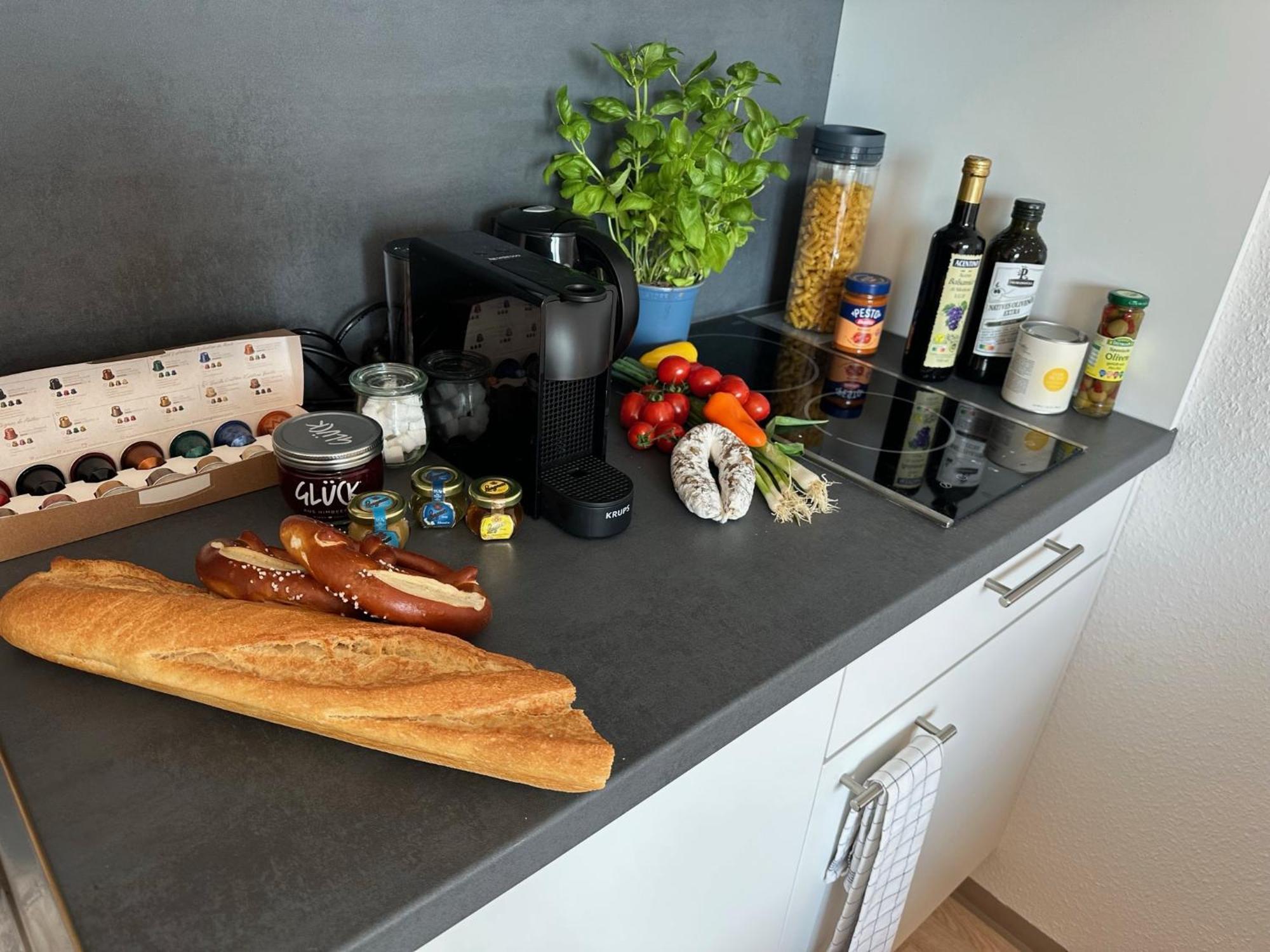 Stilvolles Und Modernes Appartement Mit Sonnigem Balkon In Flughafen- Und Messenaehe 31 ラインフェルデン＝エヒターディンゲン エクステリア 写真